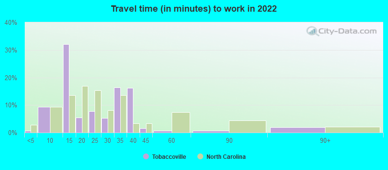 Travel time (in minutes) to work in 2022