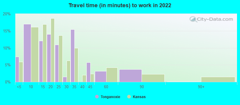 Travel time (in minutes) to work in 2022