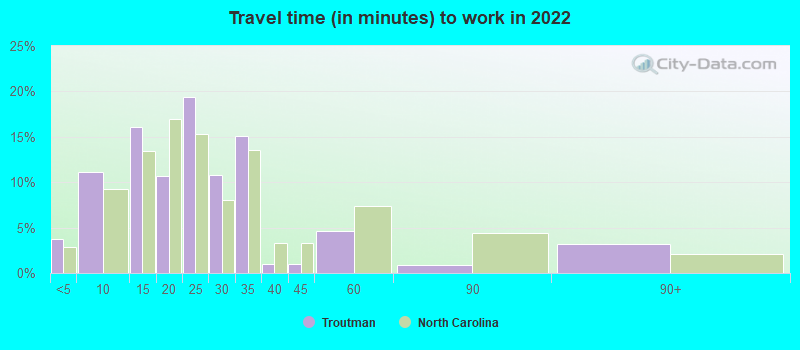 Travel time (in minutes) to work in 2022