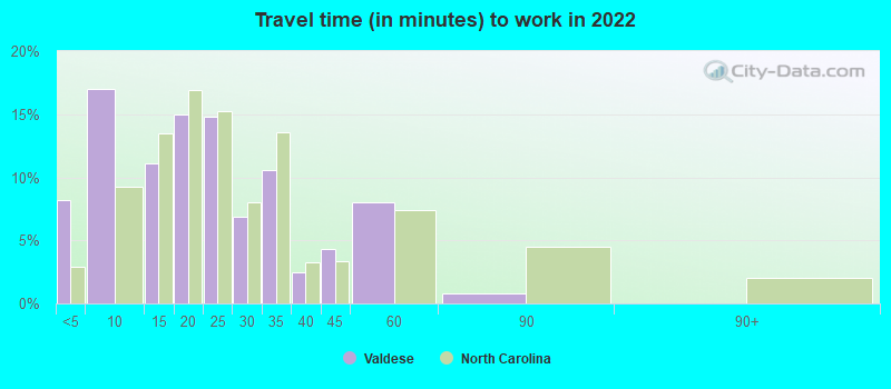 Travel time (in minutes) to work in 2022