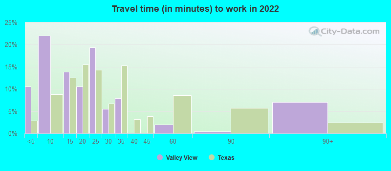 Travel time (in minutes) to work in 2022