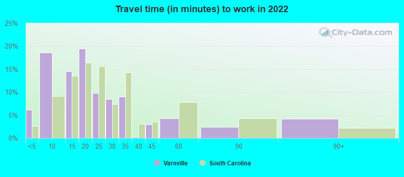 Travel time (in minutes) to work in 2022