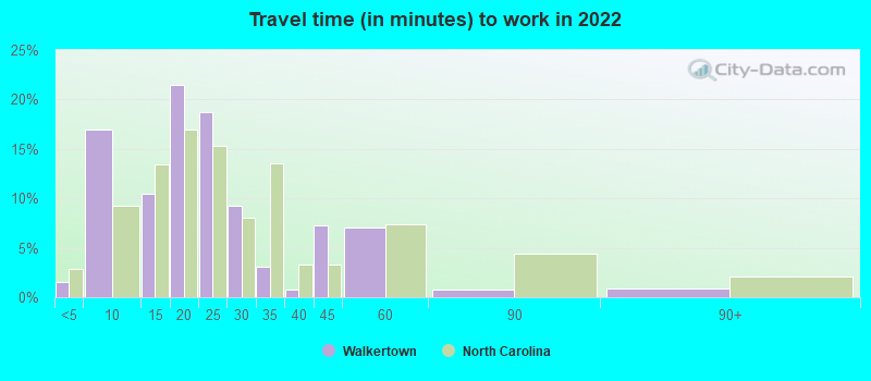 Travel time (in minutes) to work in 2022