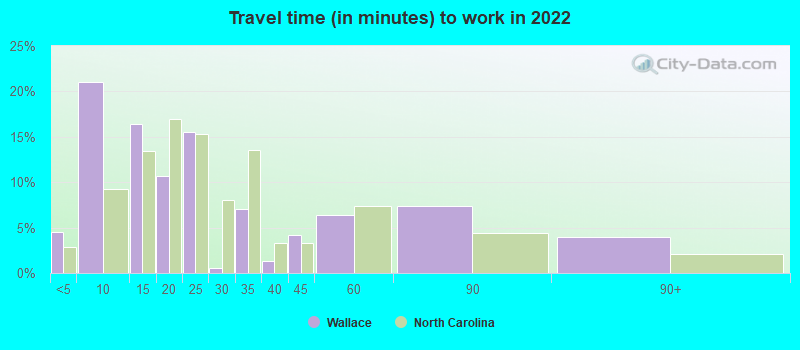 Travel time (in minutes) to work in 2022