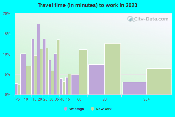 Wantagh, New York (NY 11793) profile population, maps, real estate