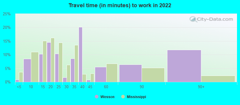 Travel time (in minutes) to work in 2022