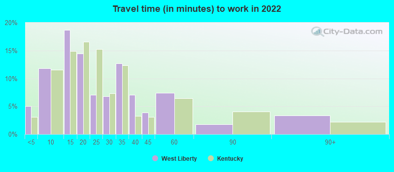 Travel time (in minutes) to work in 2022