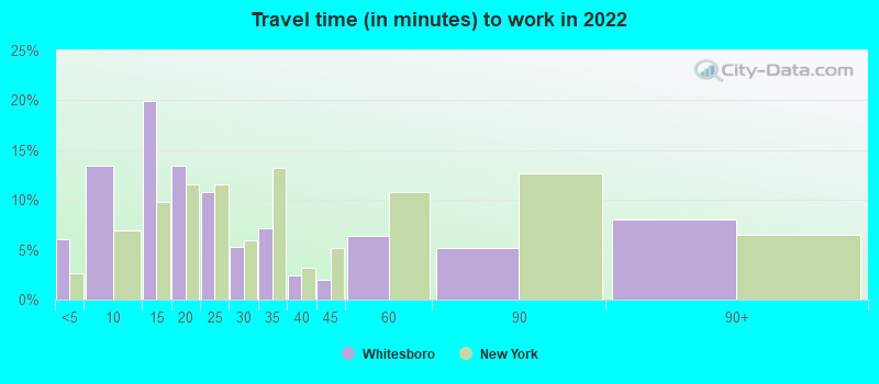 Travel time (in minutes) to work in 2022