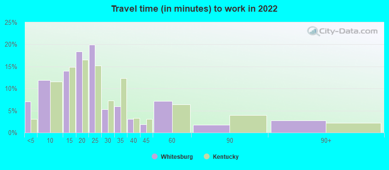 Travel time (in minutes) to work in 2022