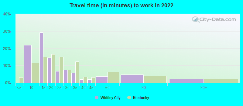 Travel time (in minutes) to work in 2022