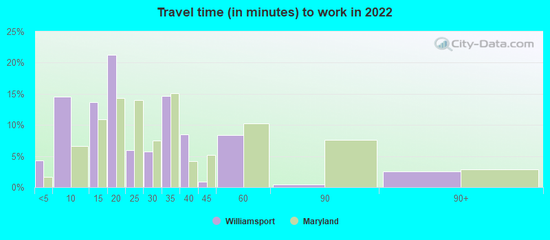 Travel time (in minutes) to work in 2022