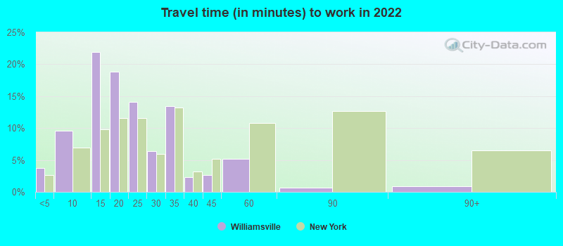 Travel time (in minutes) to work in 2022