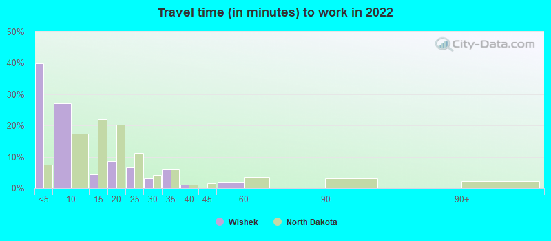 Travel time (in minutes) to work in 2022