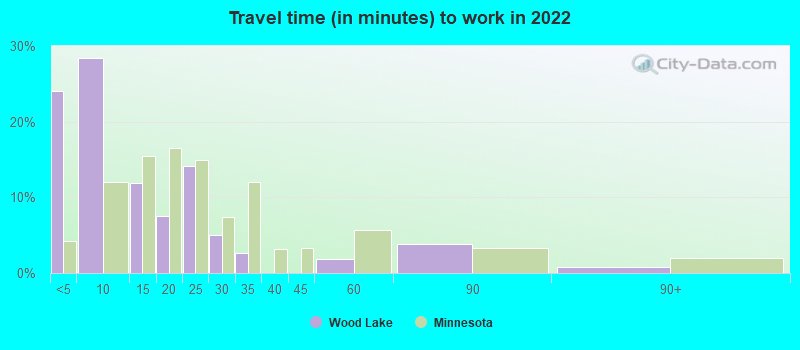 Travel time (in minutes) to work in 2022