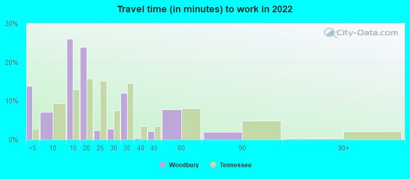 Travel time (in minutes) to work in 2022