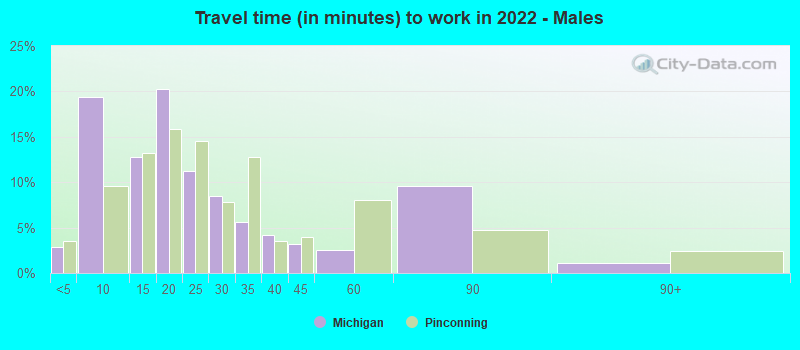 Travel time (in minutes) to work in 2022 - Males