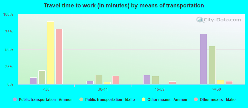 Travel time to work (in minutes) by means of transportation