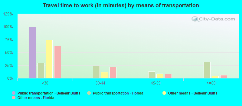 Travel time to work (in minutes) by means of transportation