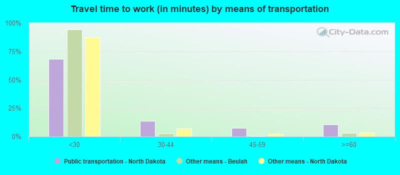 Travel time to work (in minutes) by means of transportation