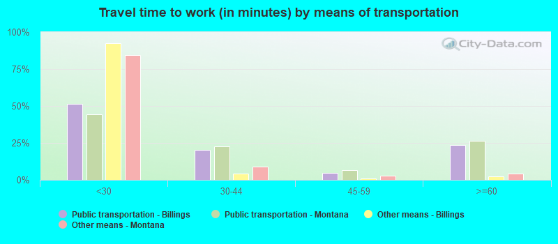 Travel time to work (in minutes) by means of transportation