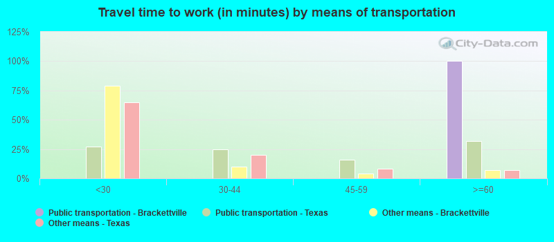 Travel time to work (in minutes) by means of transportation