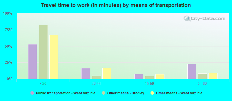 Travel time to work (in minutes) by means of transportation