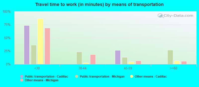 Travel time to work (in minutes) by means of transportation