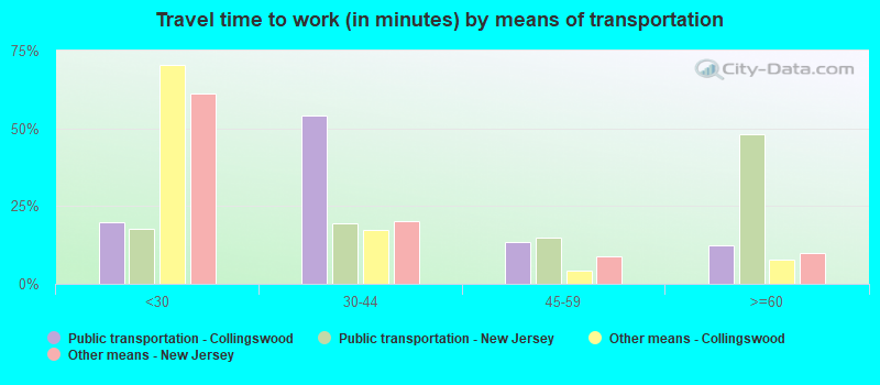 Travel time to work (in minutes) by means of transportation