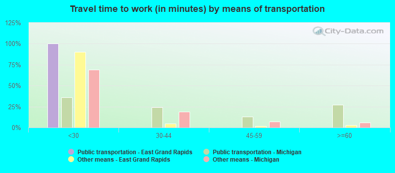 Travel time to work (in minutes) by means of transportation