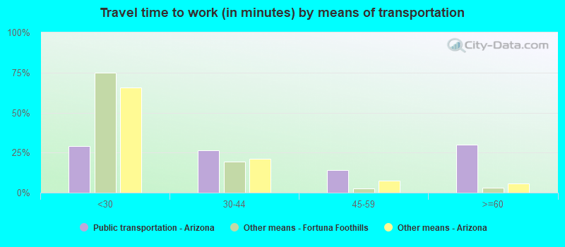 Travel time to work (in minutes) by means of transportation