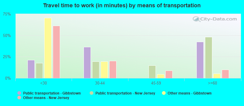 Travel time to work (in minutes) by means of transportation