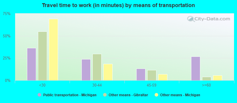 Travel time to work (in minutes) by means of transportation