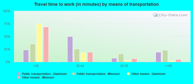 Travel time to work (in minutes) by means of transportation