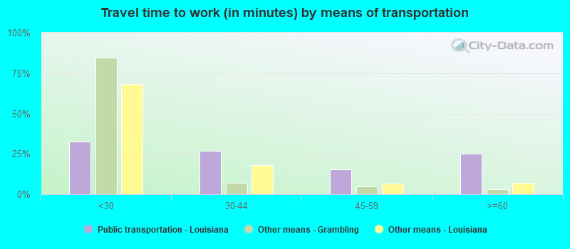 Travel time to work (in minutes) by means of transportation