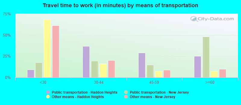 Travel time to work (in minutes) by means of transportation