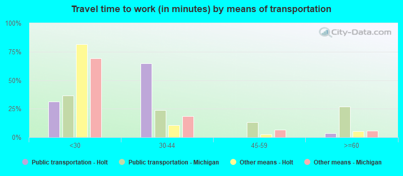 Travel time to work (in minutes) by means of transportation