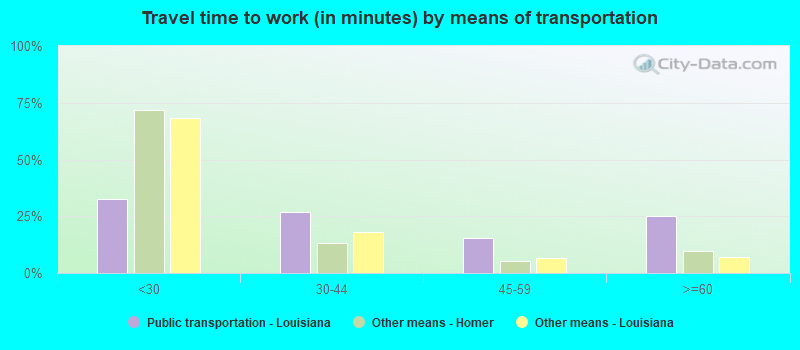 Travel time to work (in minutes) by means of transportation