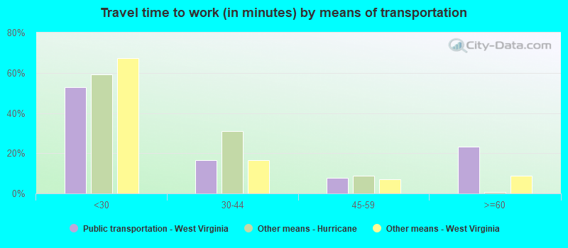 Travel time to work (in minutes) by means of transportation