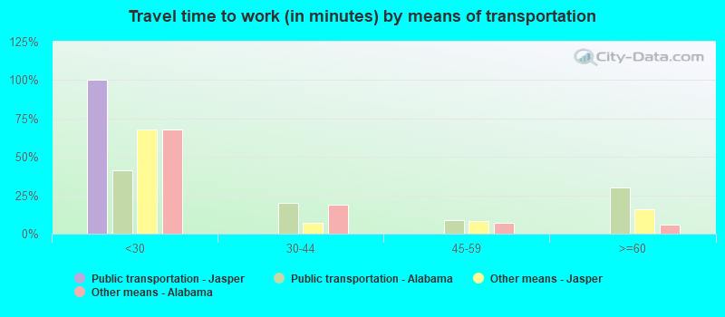 Travel time to work (in minutes) by means of transportation