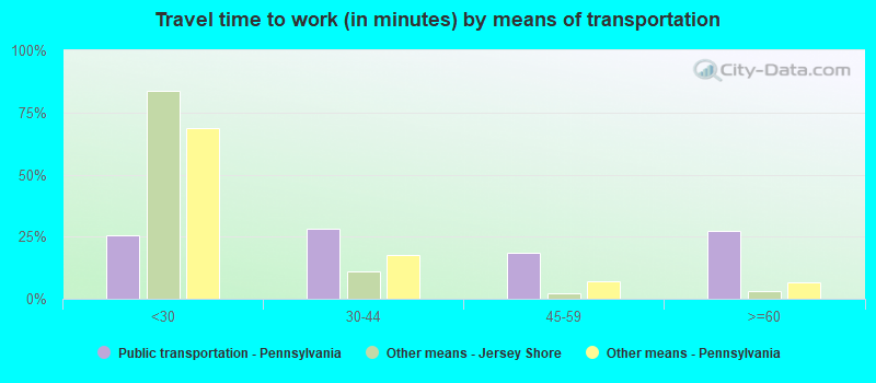 Travel time to work (in minutes) by means of transportation