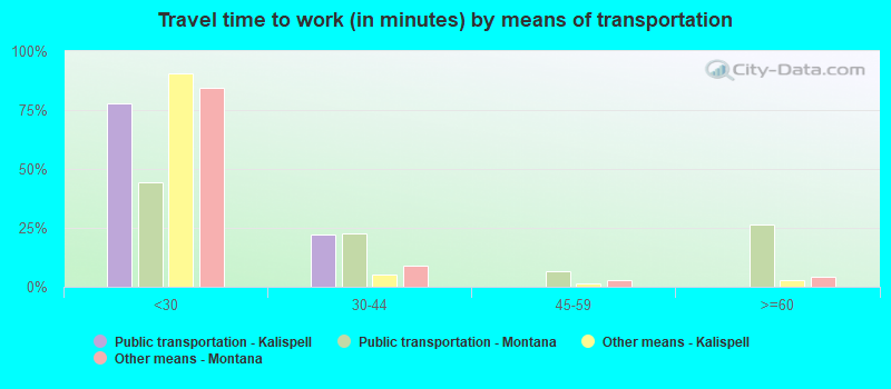 Travel time to work (in minutes) by means of transportation