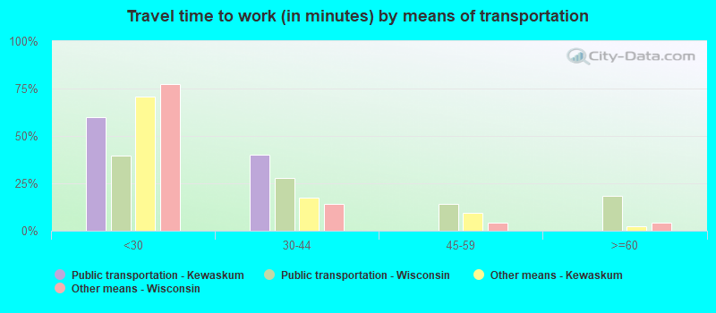 Travel time to work (in minutes) by means of transportation