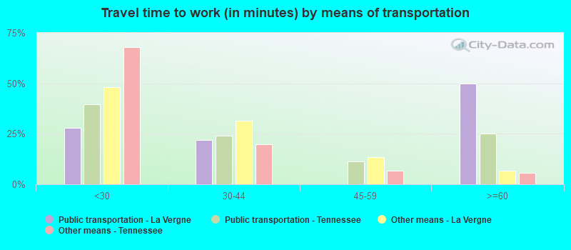 Travel time to work (in minutes) by means of transportation