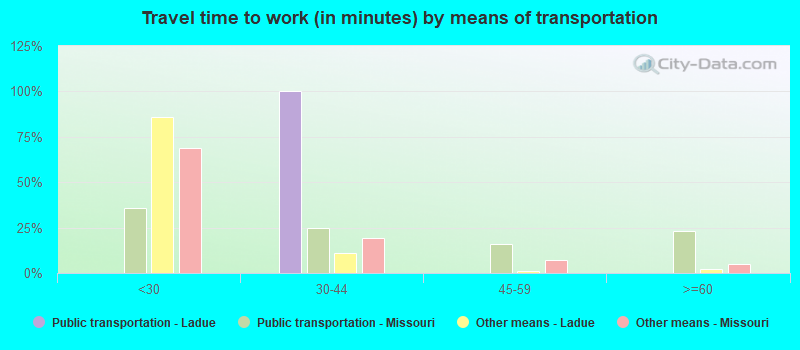 Travel time to work (in minutes) by means of transportation