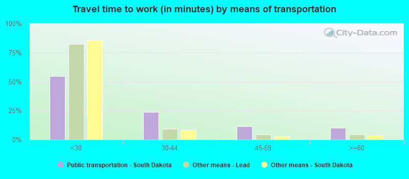 Travel time to work (in minutes) by means of transportation