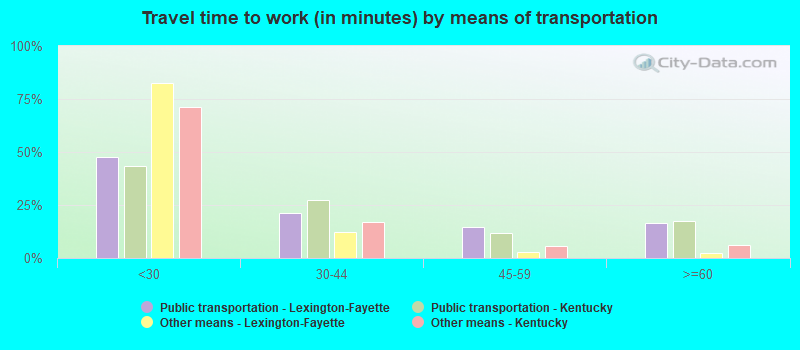 Travel time to work (in minutes) by means of transportation