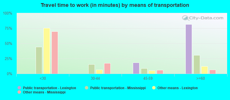 Travel time to work (in minutes) by means of transportation