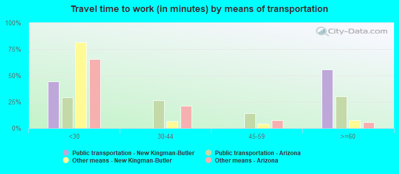 Travel time to work (in minutes) by means of transportation