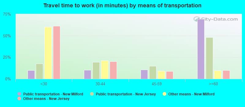 Travel time to work (in minutes) by means of transportation