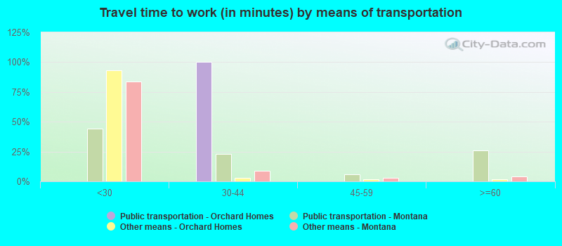 Travel time to work (in minutes) by means of transportation